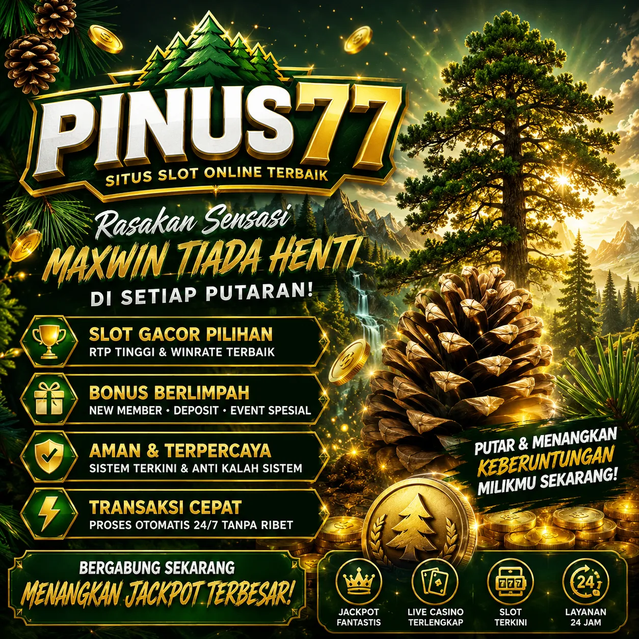 PINUS77 Banner